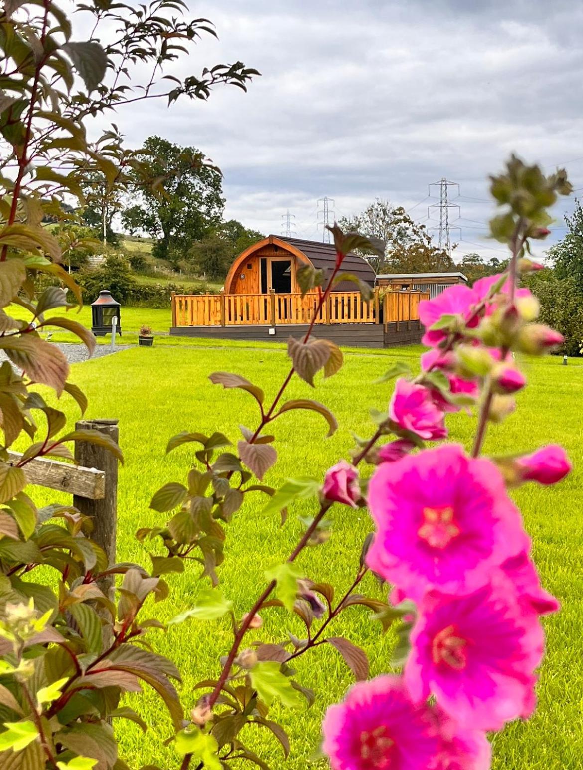 Cairnfold Cabins Kilsyth Esterno foto